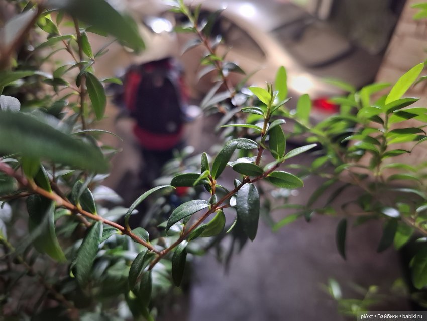 107. Родители У — Кукольные фотоистории и сериалы: комиксы