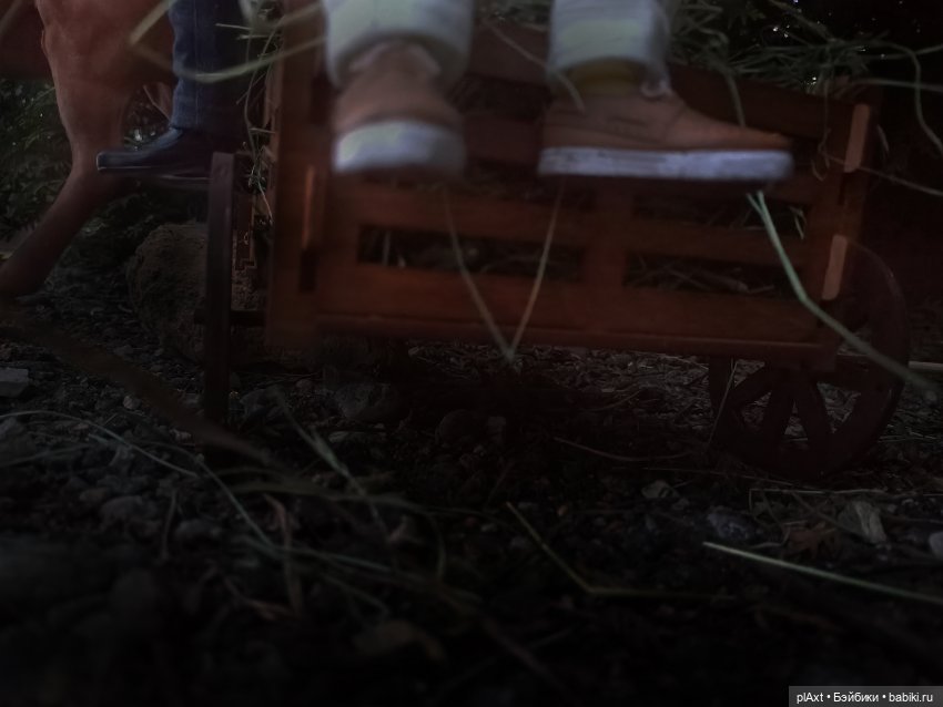 АВГУСТФЕСТ. Эпизод с Максом и Дональдом из книги "Птицы, звери и родственники" (Дж.Даррелл) (фото 2)