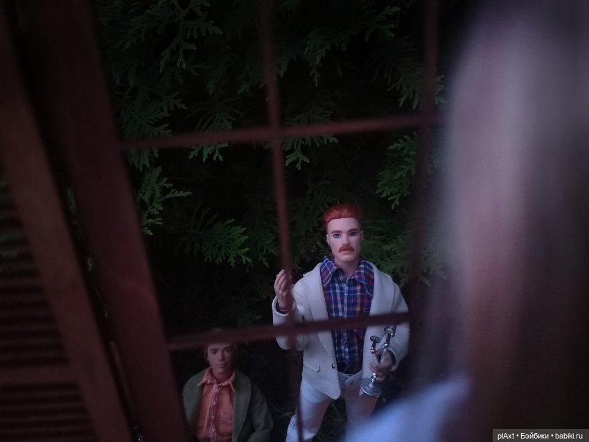 АВГУСТФЕСТ. Эпизод с Максом и Дональдом из книги "Птицы, звери и родственники" (Дж.Даррелл) (фото 3)