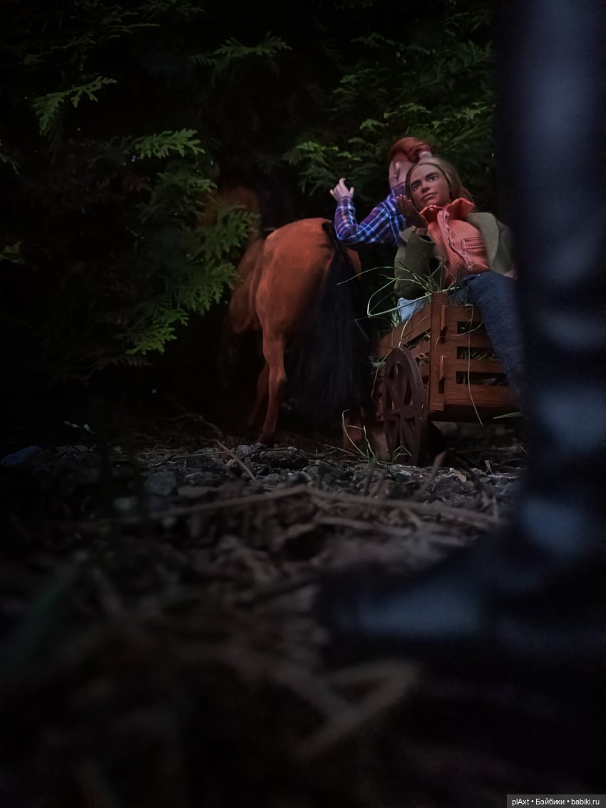 АВГУСТФЕСТ. Эпизод с Максом и Дональдом из книги "Птицы, звери и родственники" (Дж.Даррелл)