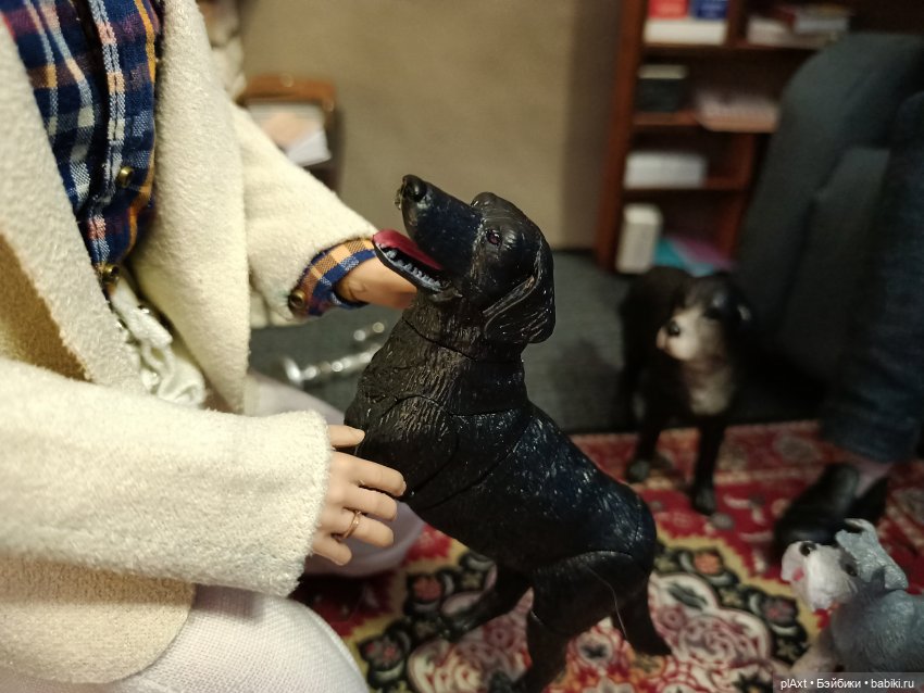 АВГУСТФЕСТ. Эпизод с Максом и Дональдом из книги "Птицы, звери и родственники" (Дж.Даррелл) (фото 7)