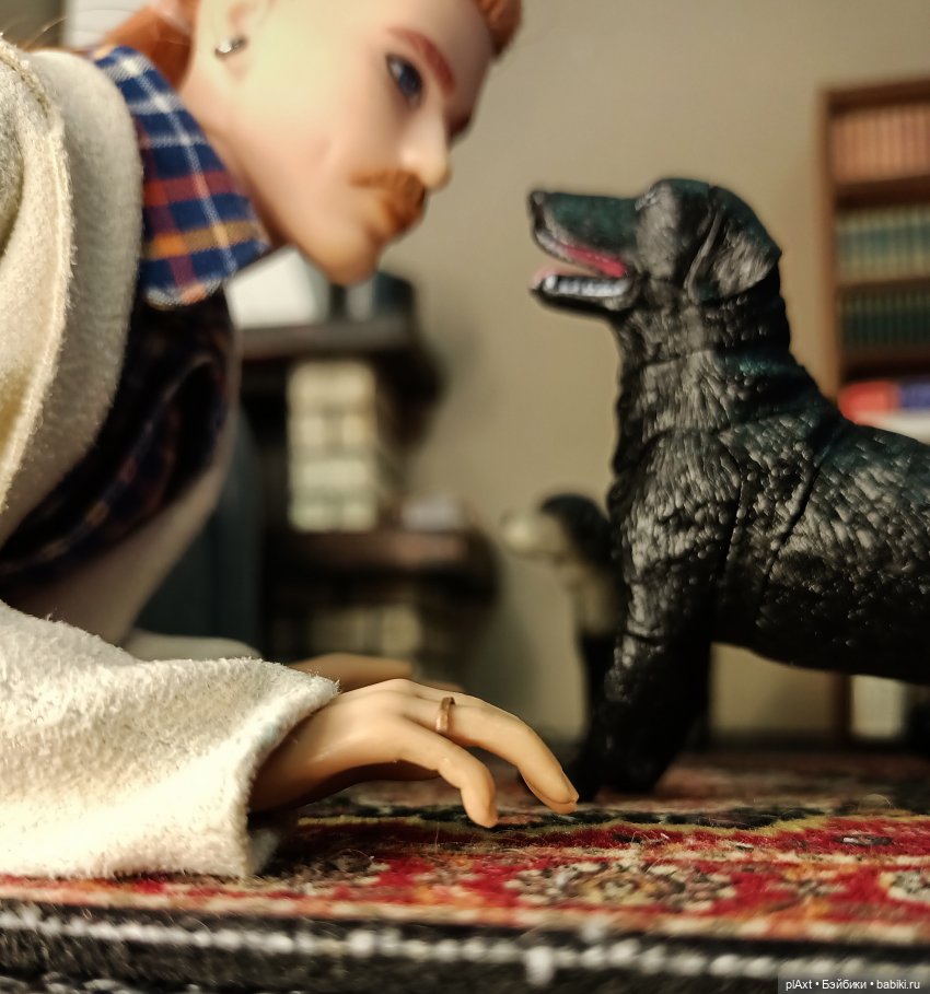 АВГУСТФЕСТ. Эпизод с Максом и Дональдом из книги "Птицы, звери и родственники" (Дж.Даррелл) (фото 8)