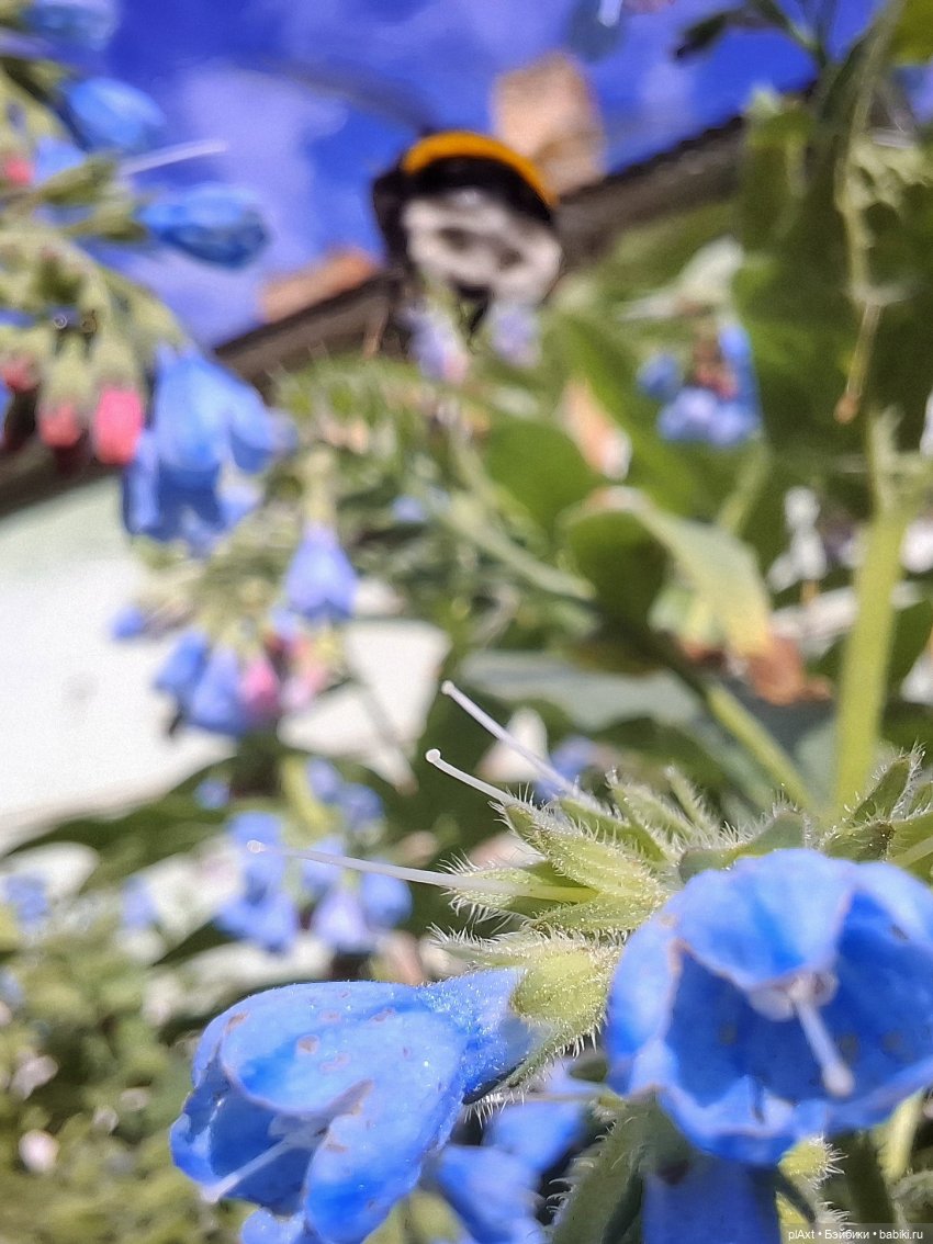 Долой осеннюю хандру! 🍁 АНОНС