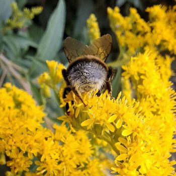 Долой осеннюю хандру! 🍁 АНОНС