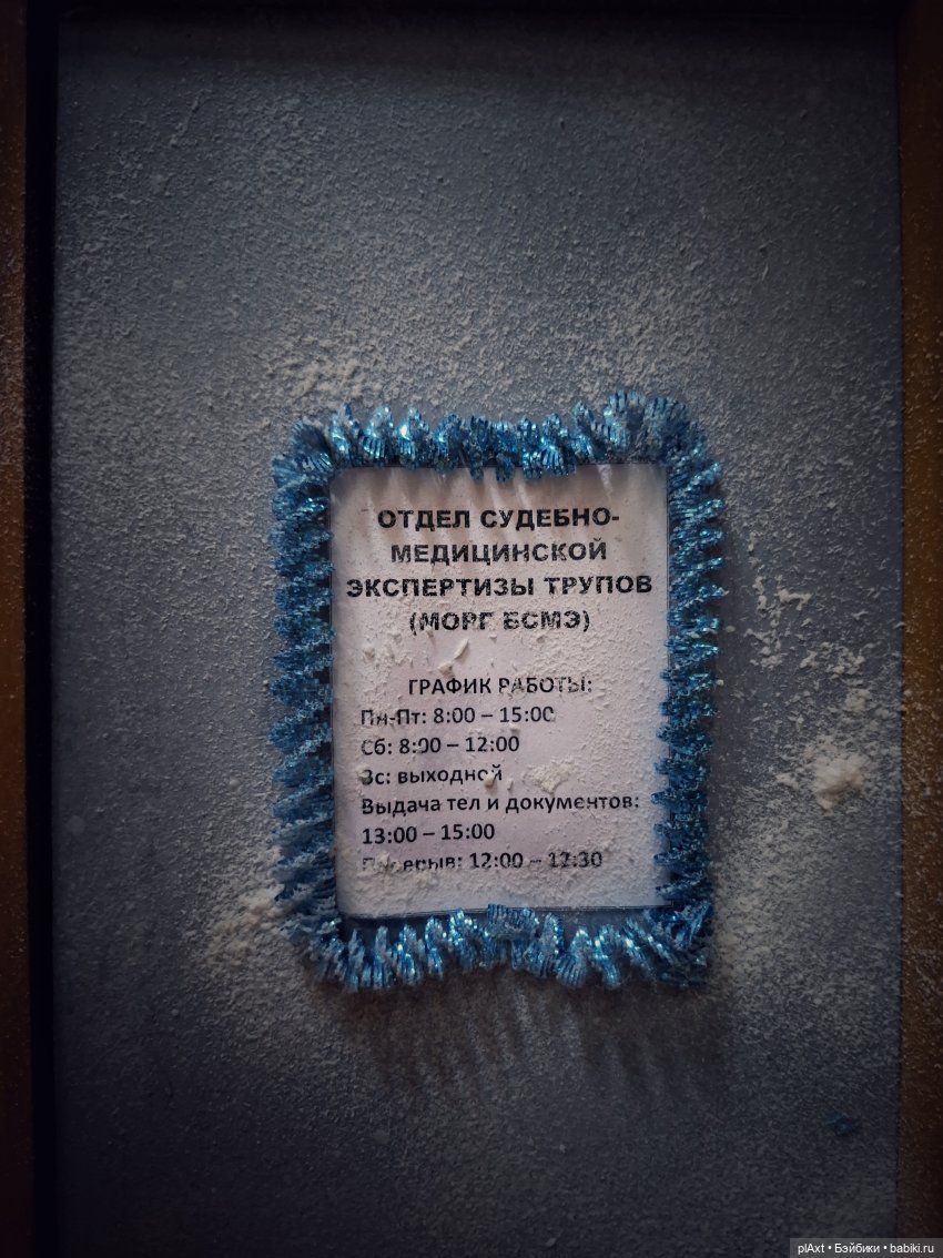 МОРГ БСМЭ. предНовогоднее 🎄