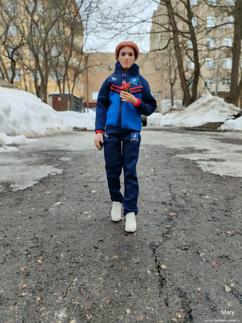 Лис и Ромашка)) — Куклы Barbie (Барби): Looks