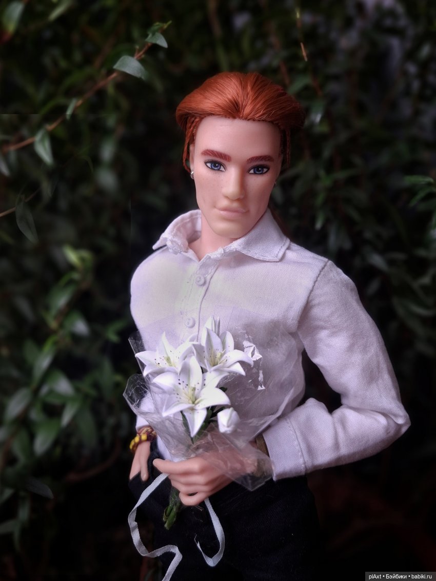 Лис и Ромашка)) — Куклы Barbie (Барби): Looks