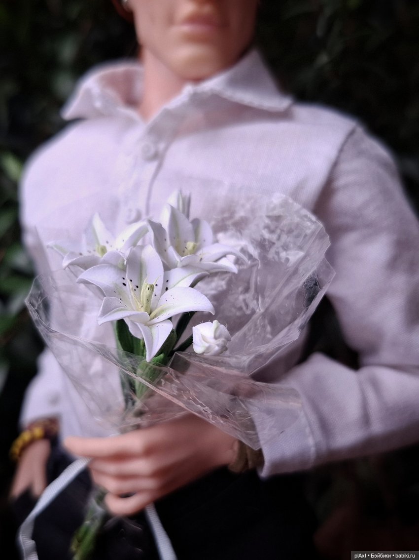 Лис и Ромашка)) — Куклы Barbie (Барби): Looks (фото 9)