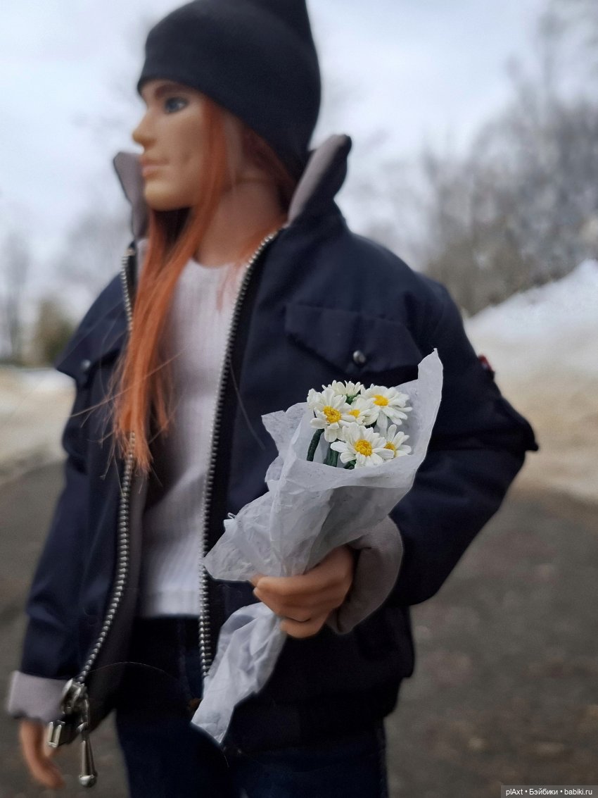 Лис и Ромашка)) — Куклы Barbie (Барби): Looks