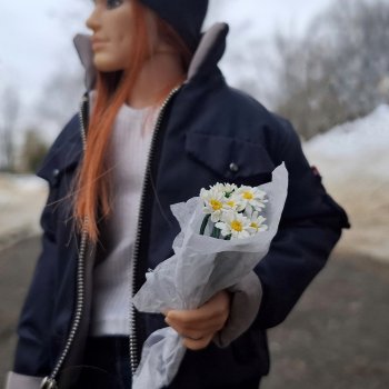 Лис и Ромашка))