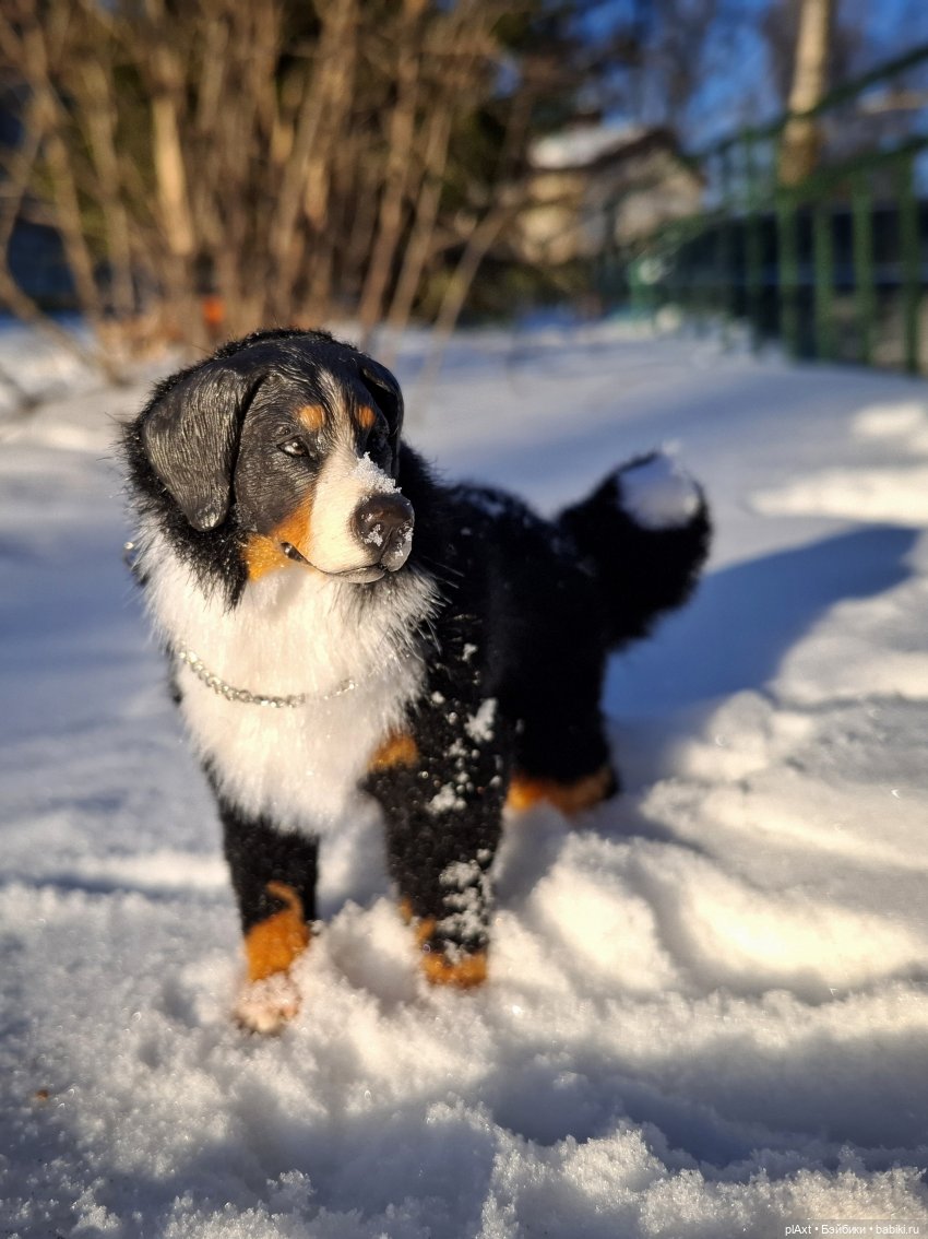 Берг(инсон) и его мальчик (фото 2)