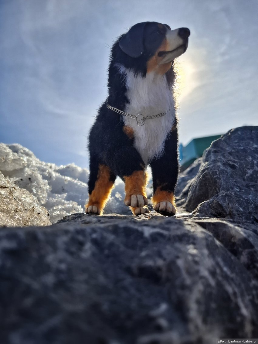 Берг(инсон) и его мальчик (фото 6)