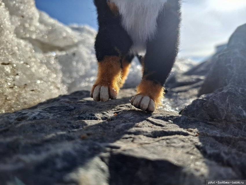 Берг(инсон) и его мальчик (фото 5)