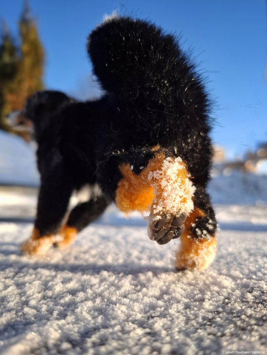 Берг(инсон) и его мальчик