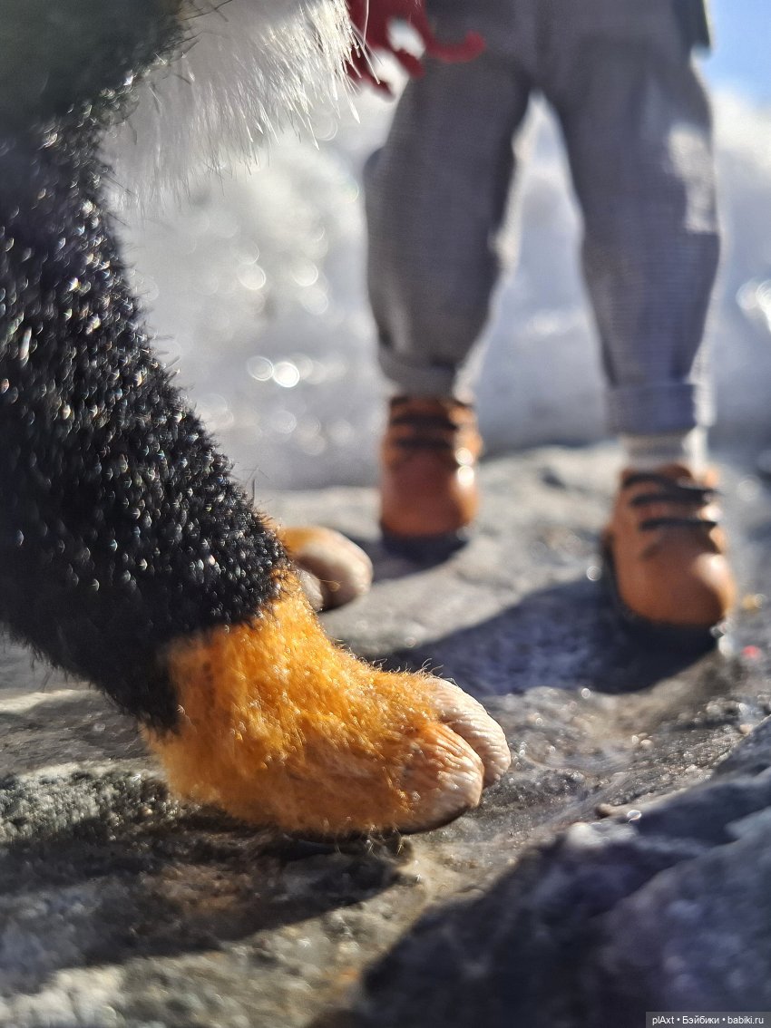 Берг(инсон) и его мальчик (фото 10)