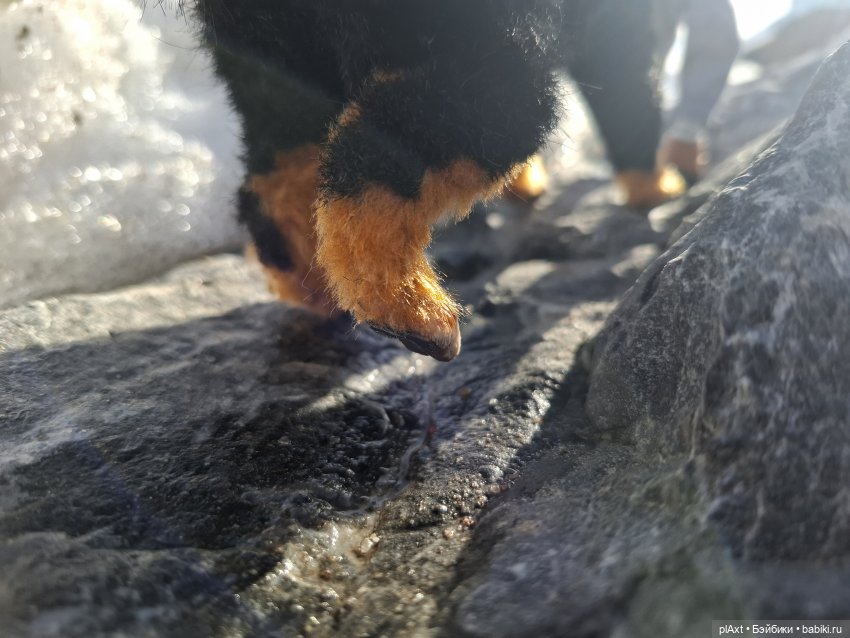 Берг(инсон) и его мальчик