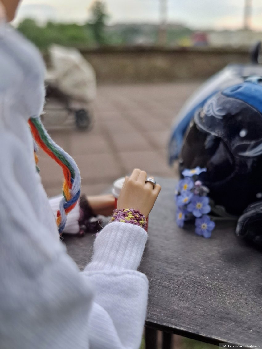 Выезд из зимней спячки 🏍 — Куклы Mattel (Маттел): Barbie