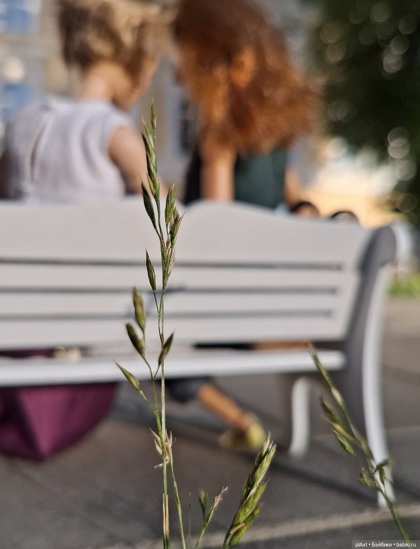 На скамеечке — Куклы Барби
