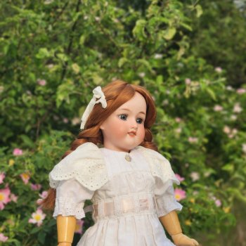 Прогулка с Энн