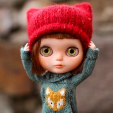 Здесь водятся лисы