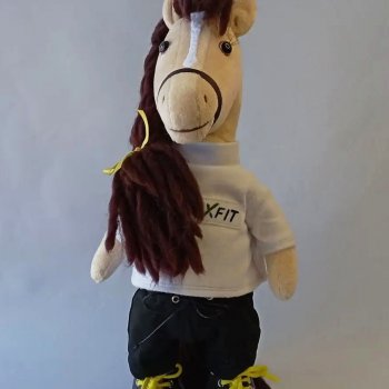 Лошадка-спортсменка