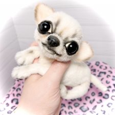 Чарли, 🐶🐾подвижный тедди чихуахуа