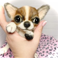 Зюзя 🐾🐶чихуахуа натюр