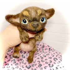 Бо🐾🐶чихуахуа 17 см