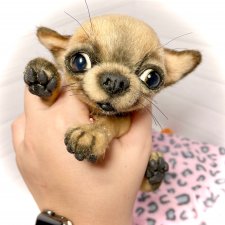 Škodi🐾🐶17 см чихуашик