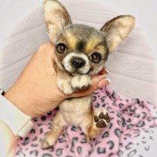 Фея 🐾🐶17 см