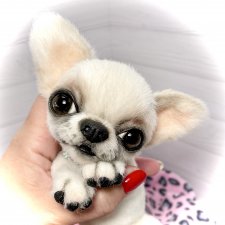 Джентли 🐾🐶