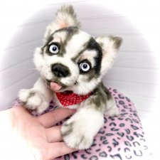 Акито 🐶🐾🐾🐾