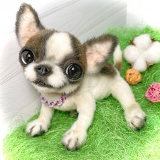 Малышка Лулу🐾🐶