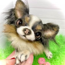 Марика 🐶🐾🐾🐾