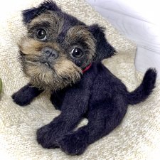 Маффин🐾🐶