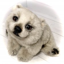 Пельмень 🥟🐻‍❄️