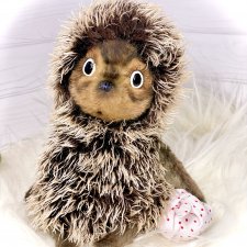 Ежик в тумане🦔