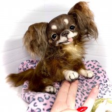 Длинношерстный портретный