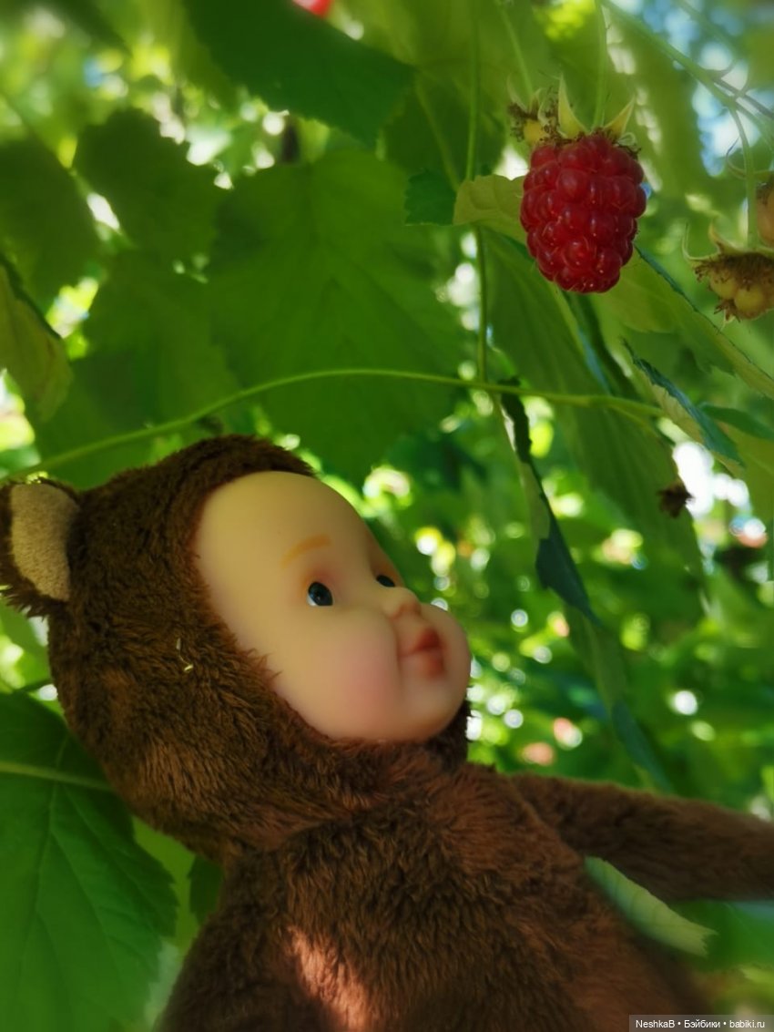 ☀Летние приключения Мишутки 🍓 или Окошко в лето 🌻 | Бэйбики ☀Летние приключения Мишутки 🍓 или Окошко в лето 🌻