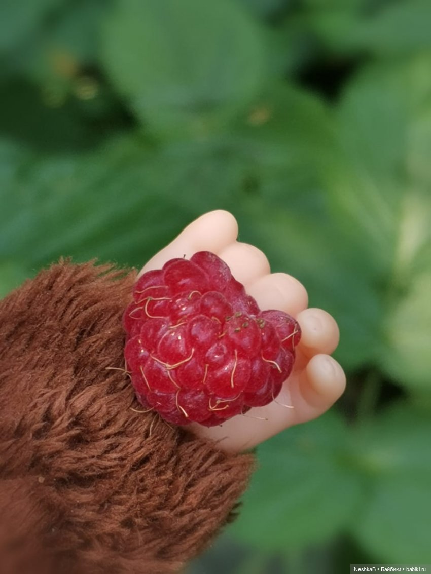 ☀Летние приключения Мишутки 🍓 или Окошко в лето 🌻 | Бэйбики ☀Летние приключения Мишутки 🍓 или Окошко в лето 🌻