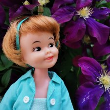 И снова Пенни. И снова лето и цветы...🌼🌼🌼