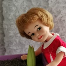 Пенни приближает весну 🌱🌷🌸