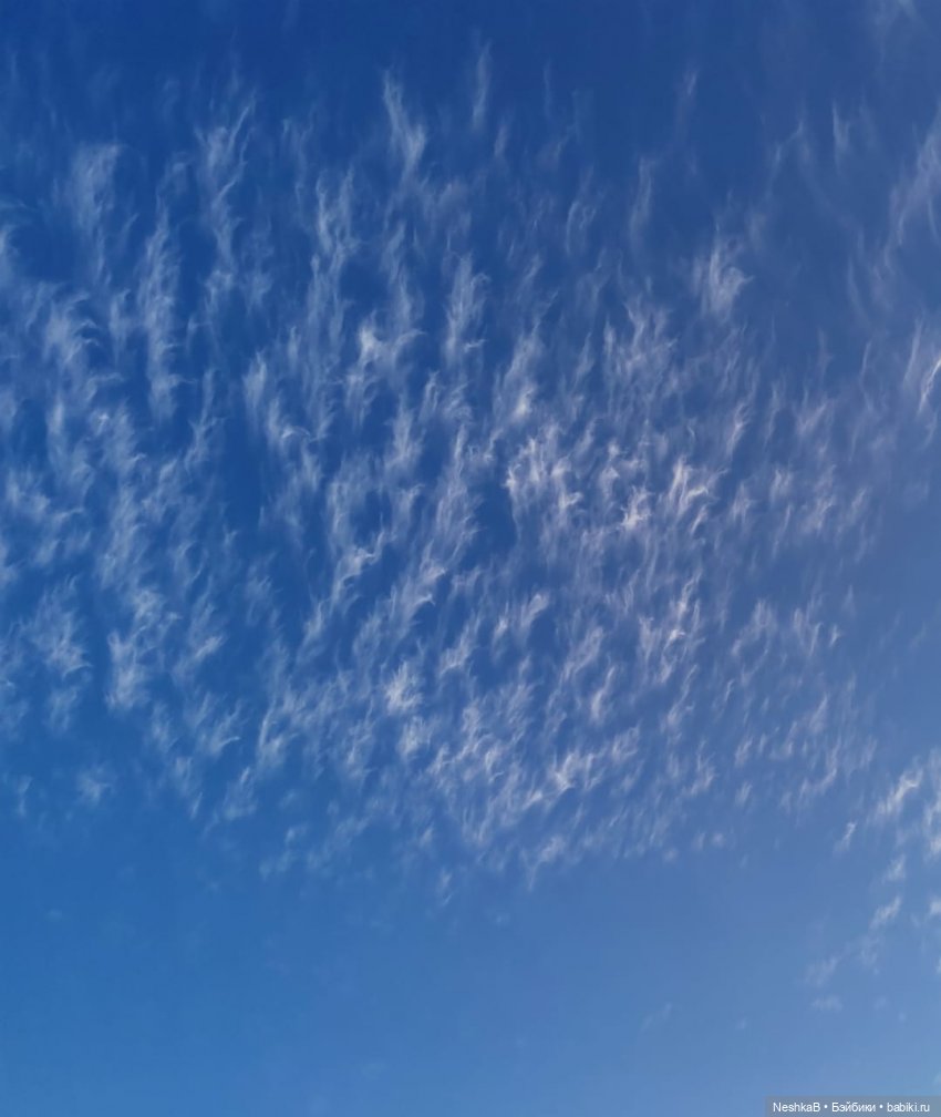 Весна идёт, весне дорогу!🌱