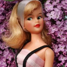 Фантастическая Мисти  💫