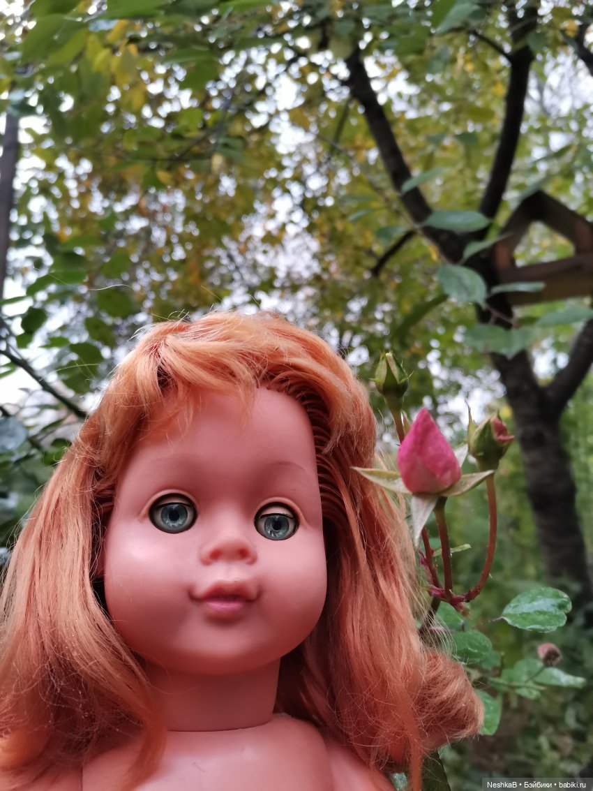 Санаторий для брошенки (из неопубликованного)