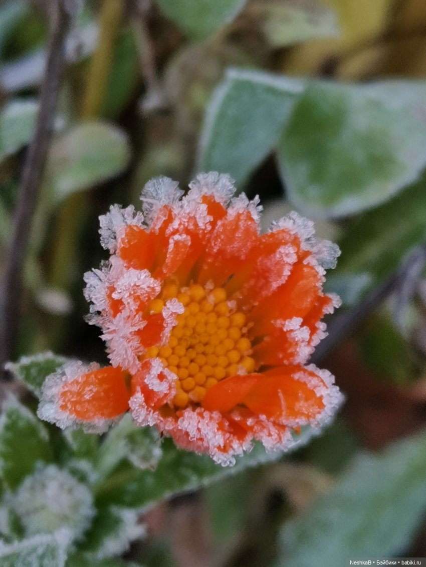 Санаторий для брошенки (из неопубликованного)