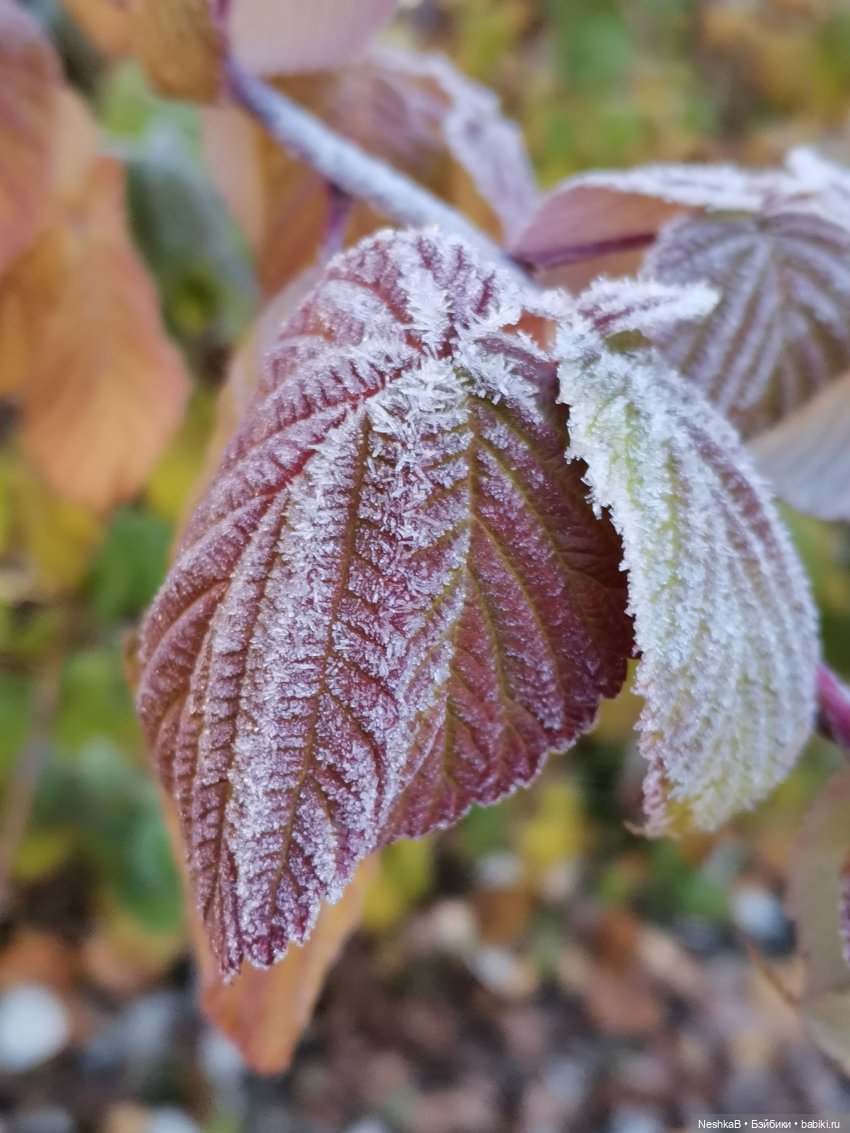 Санаторий для брошенки (из неопубликованного)