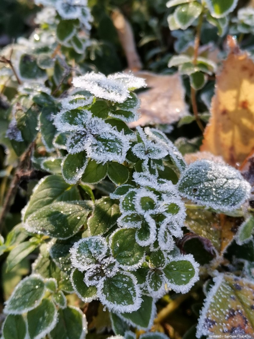Санаторий для брошенки (из неопубликованного)