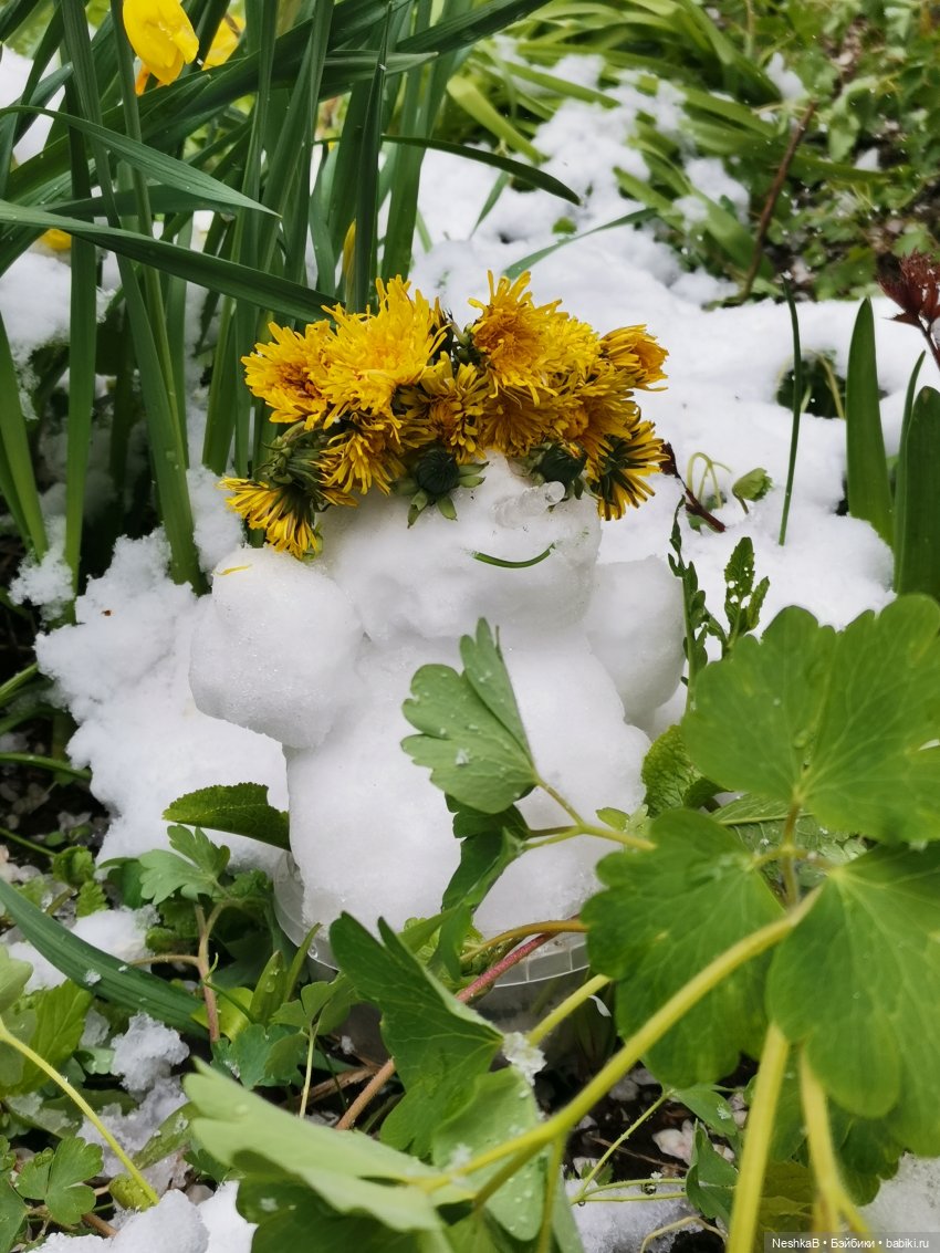 Катаклизм 🌷❄️🪻❄️ — Куклы Nines d'Onil (Нинес): Миа (Mia)