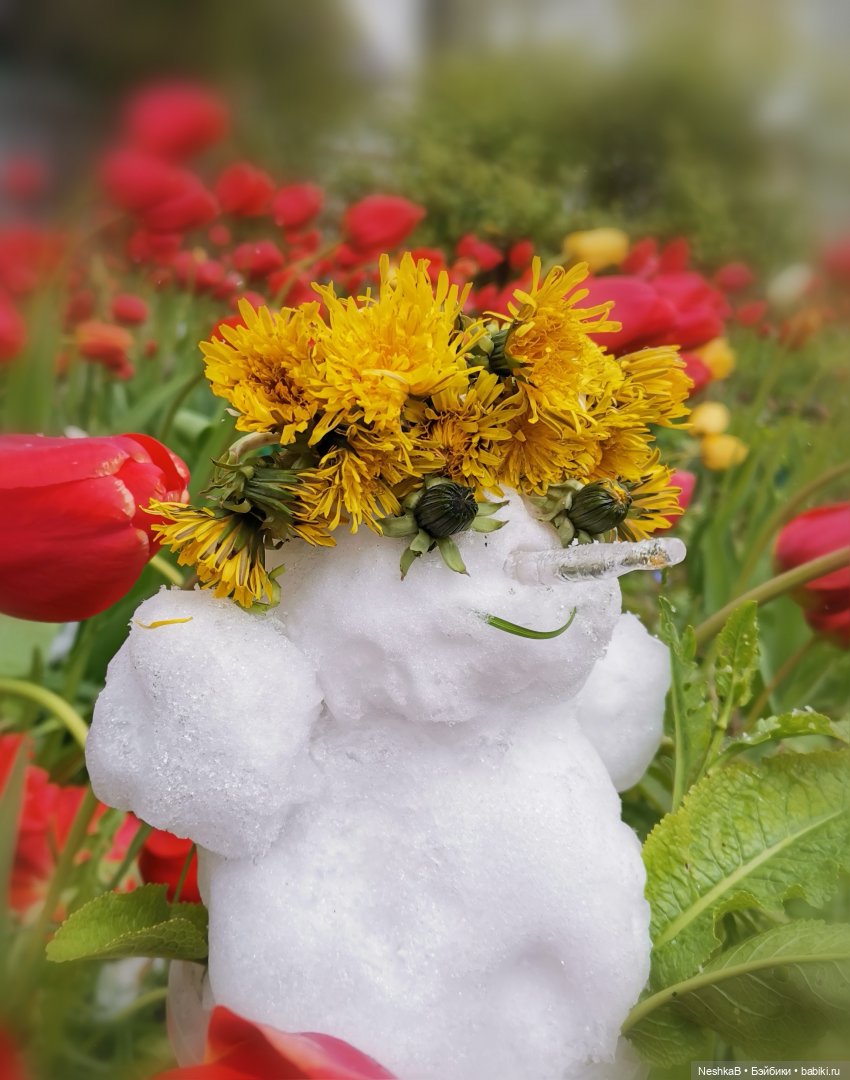 Катаклизм 🌷❄️🪻❄️ — Куклы Nines d'Onil (Нинес): Миа (Mia)